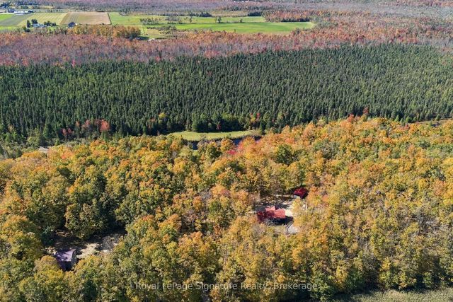 573042 Side Road 57a N/a, Grey Highlands