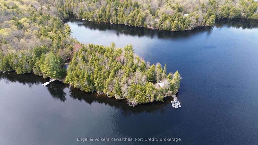 1014 Fire Route 74 N/a, North Kawartha