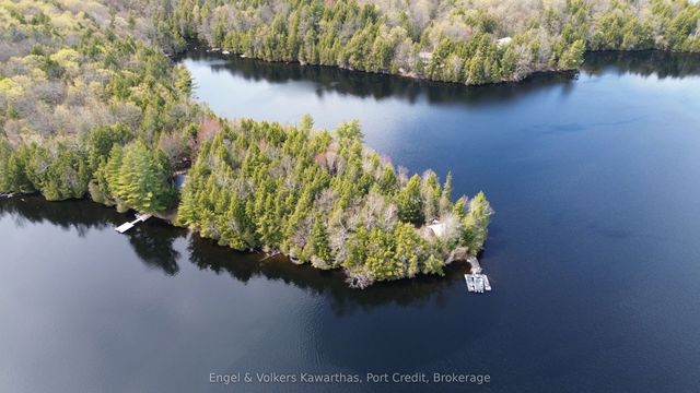 1014 Fire Route 74 N/a, North Kawartha