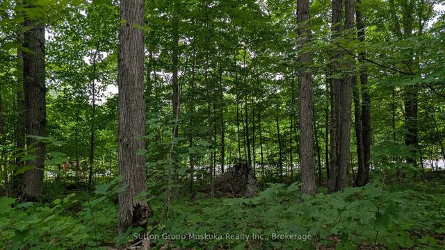 837 Aspdin Road, Huntsville