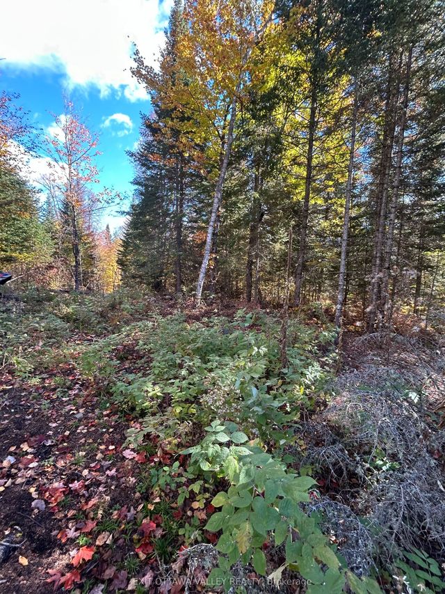 Rosien Road, Bonnechere Valley