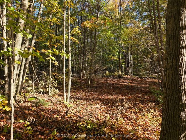 Pt Lt 13 Con 9 35 Highway, Minden Hills