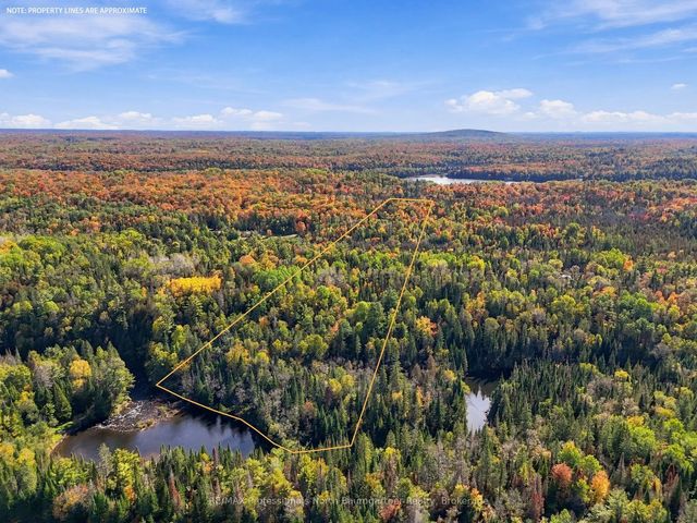 Contau Lake Road, Highlands East
