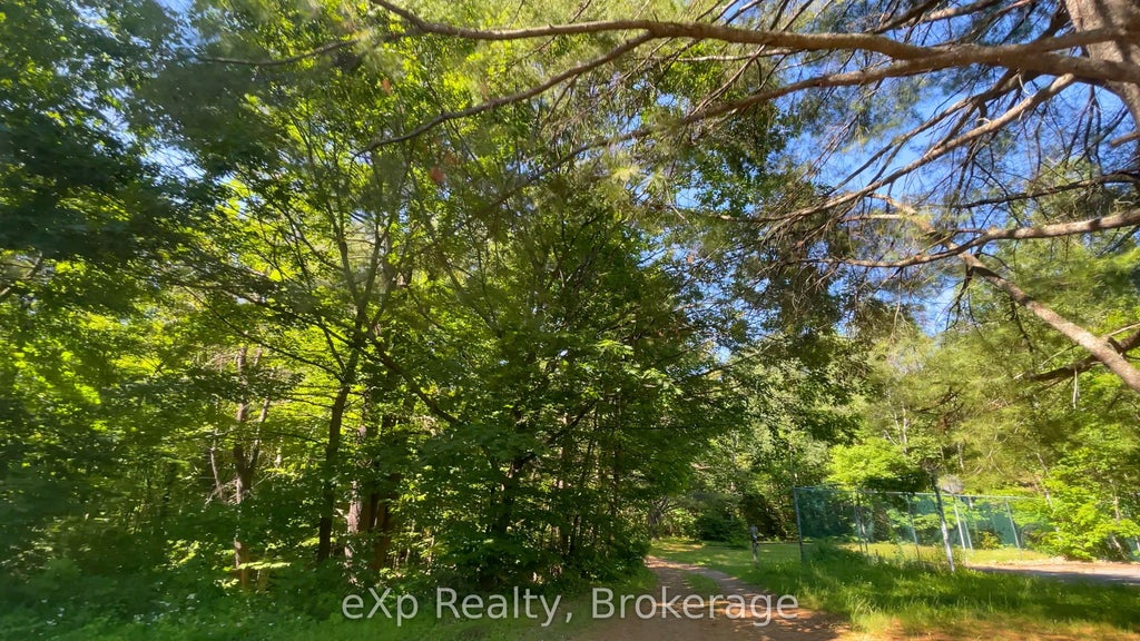 1005 Murrays Road, Dysart et al