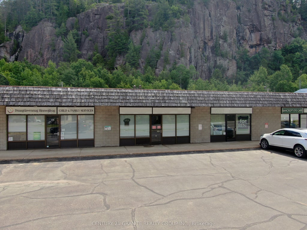 225-231 Hastings Street N 229, Bancroft