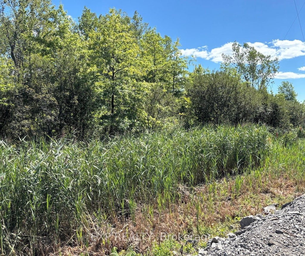 Pt Lt 4 Ramey Road, Port Colborne