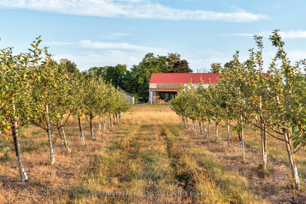 890 Danforth Road, Prince Edward County