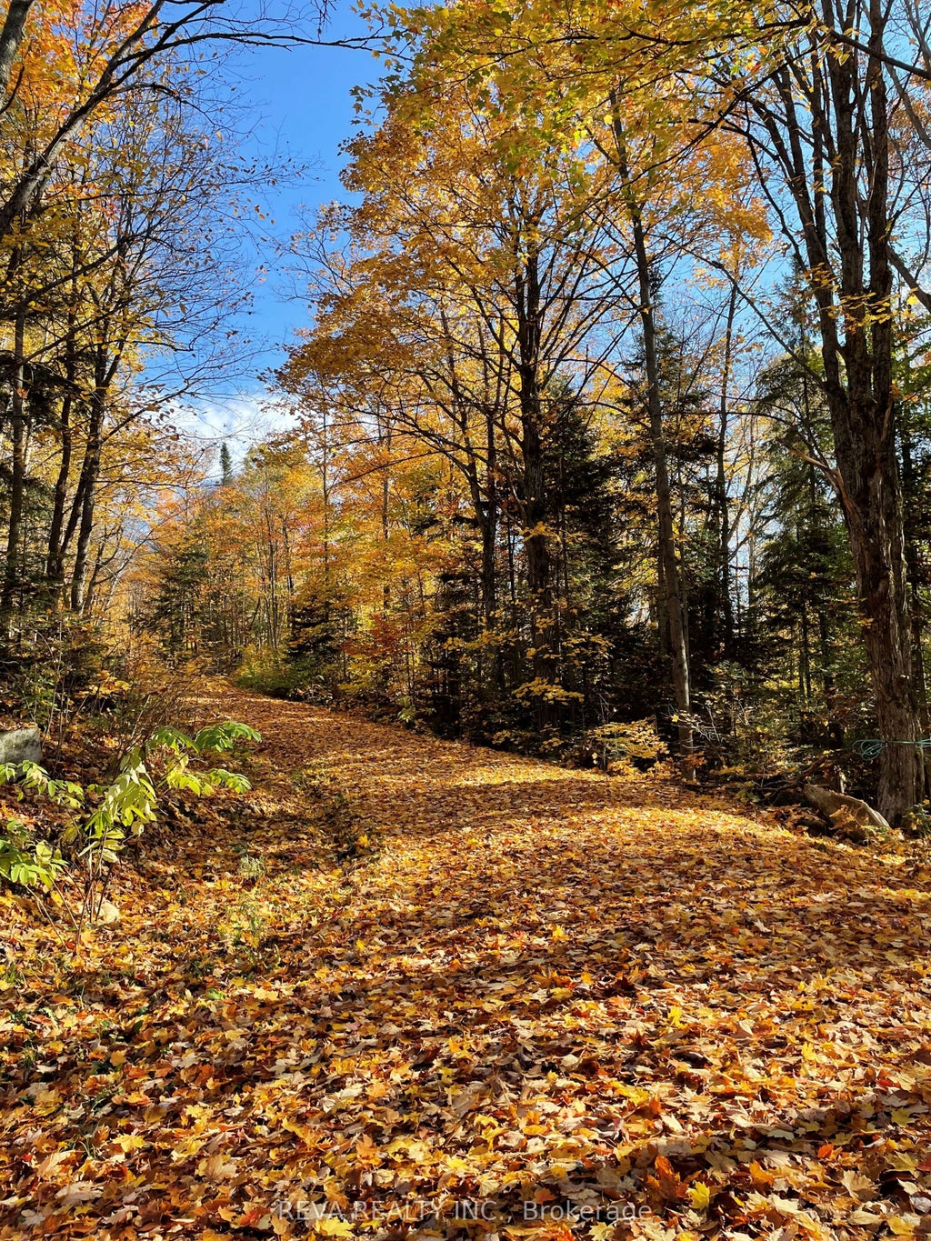 250 Lingenfelters Road, Nipissing