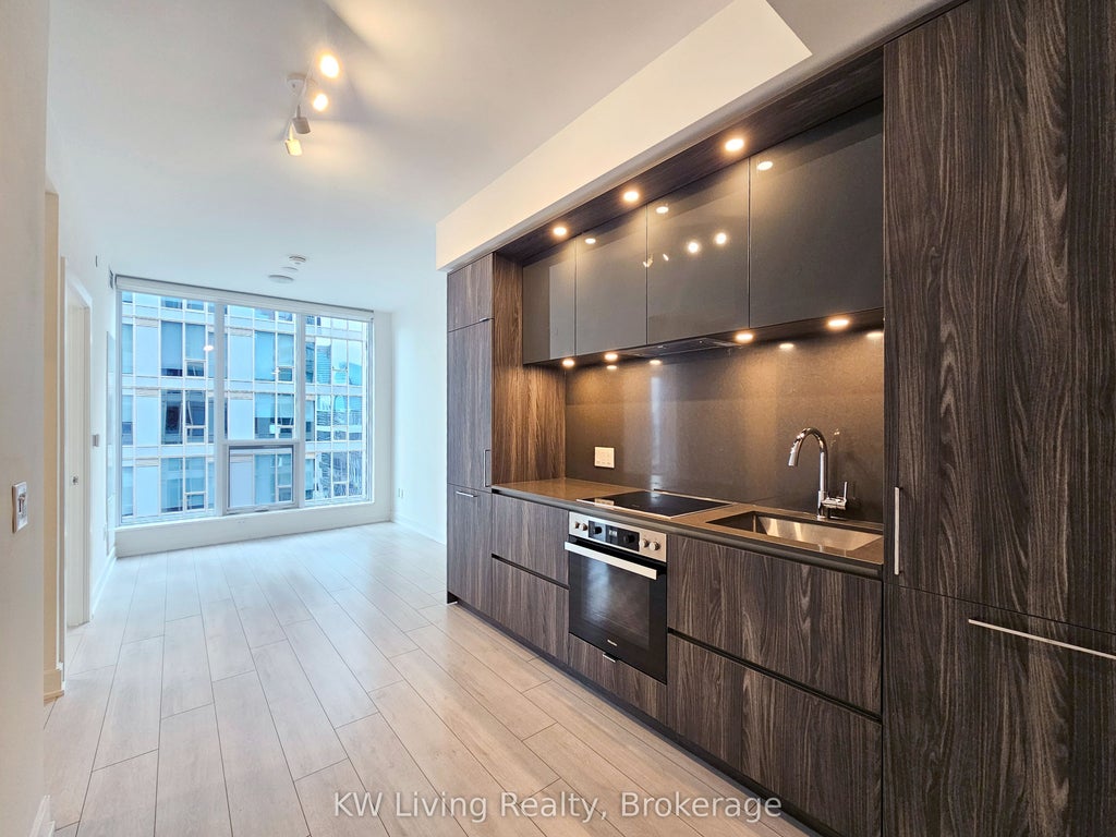 15 Mercer Street 3303, Toronto C01