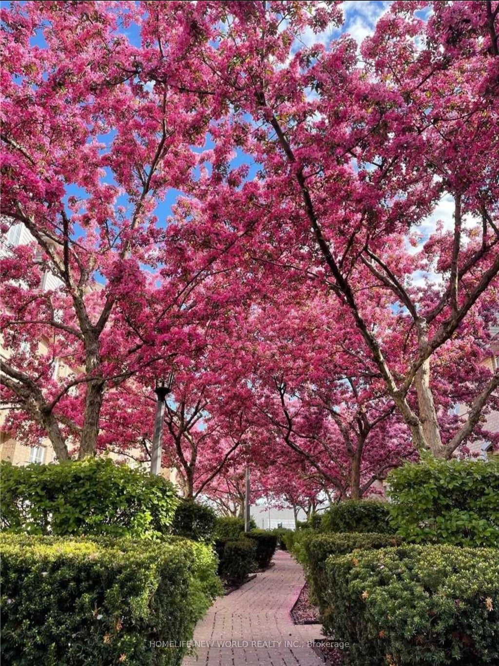 23 Observatory Lane 105, Richmond Hill