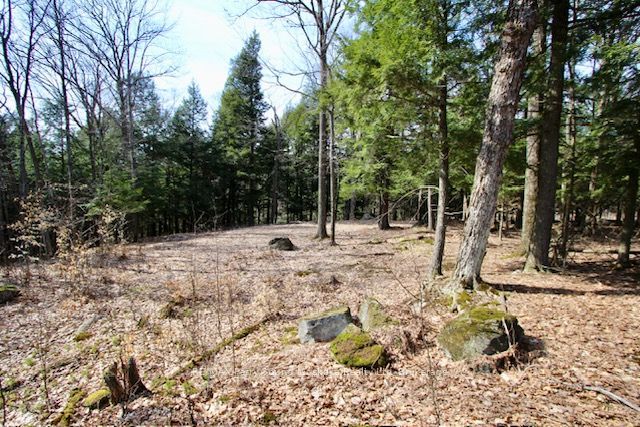 22 Gryffin Bluffs Lane 6, Huntsville