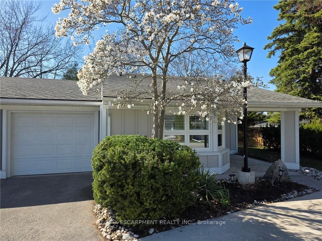 16 Sister Varga Terrace, Hamilton