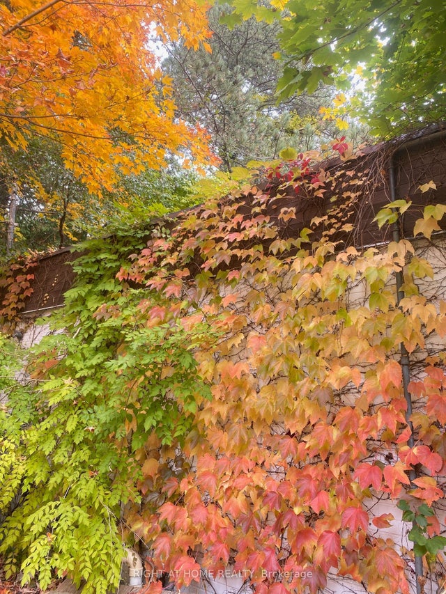 48 The Bridle Path, Toronto C12