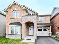 17 Raithby Crescent Basement, Ajax