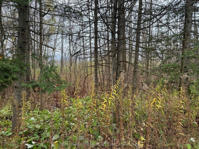 Taylorwoods Boulevard, Innisfil