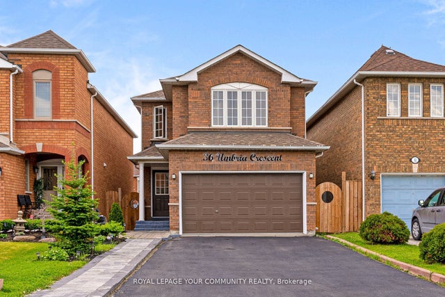 36 Umbria Crescent Bsmt, Vaughan