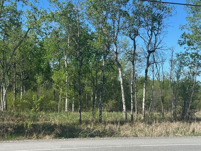 Con 7 Pt Lot 1 Ravenshoe Road, Georgina