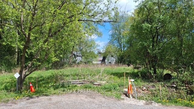 Fergus Avenue, Richmond Hill