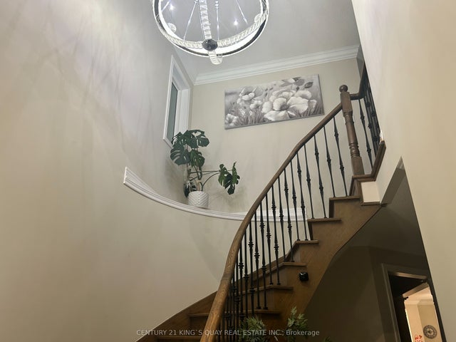 52 Brockdale Street, Richmond Hill