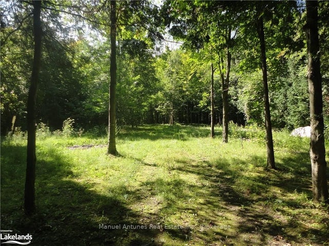 Lt 31 Mighton Court, Clearview