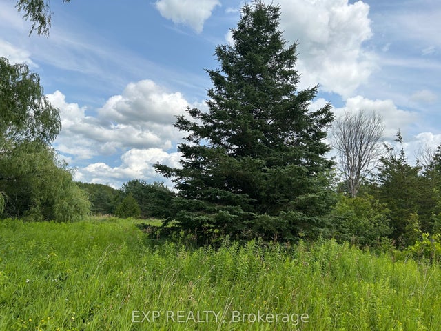 1155 Wood Road, Tay