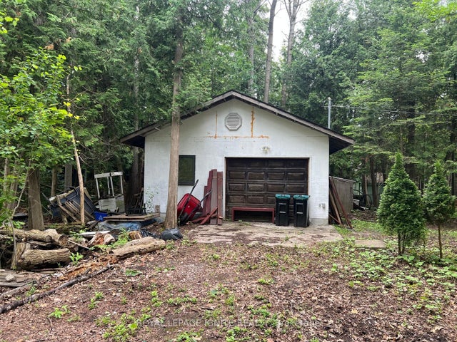 33 Moore Avenue, Tiny