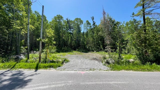 Lot 101 Pl 1244 Drive, Tiny