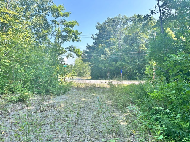 224 First Avenue, Tay