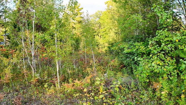 Lot 17 Ronald Avenue, Tiny