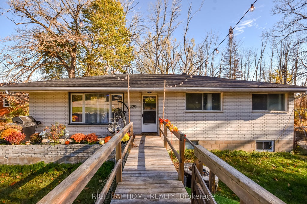 229 Mountain Avenue, Tay