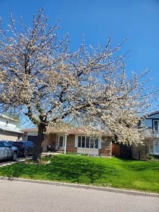 71 Grassington Crescent, Brampton