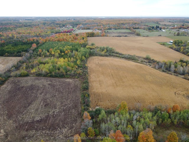 11080 First Nassagaweya Line, Milton