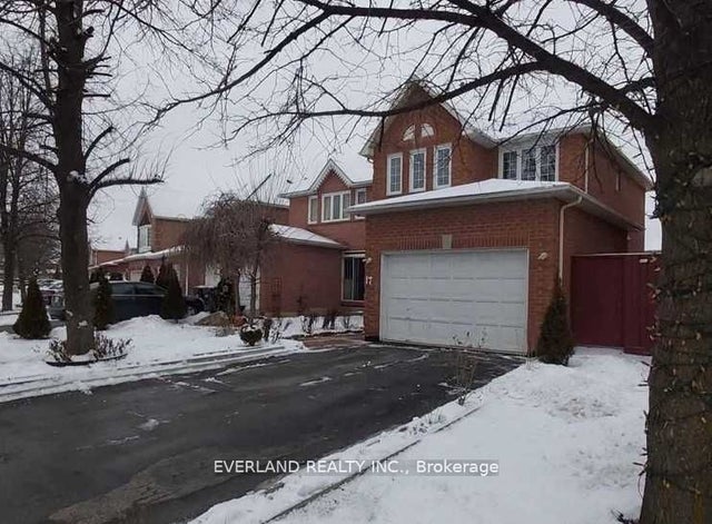 17 Letty Avenue Basement, Brampton