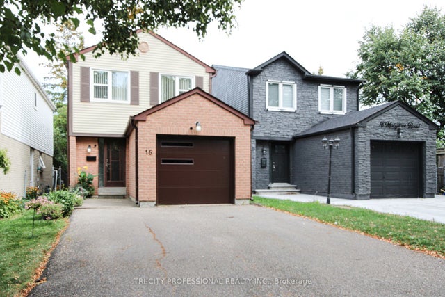 16 Mangrove Road, Brampton