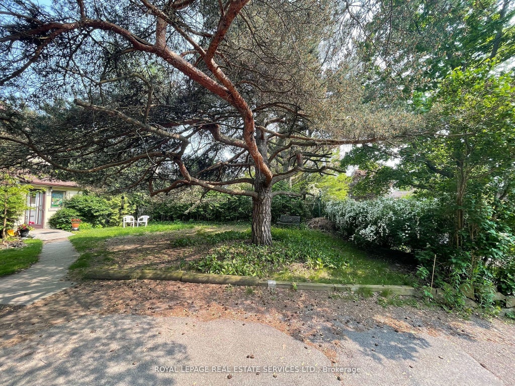 239 Ellis Avenue Upper, Toronto W01