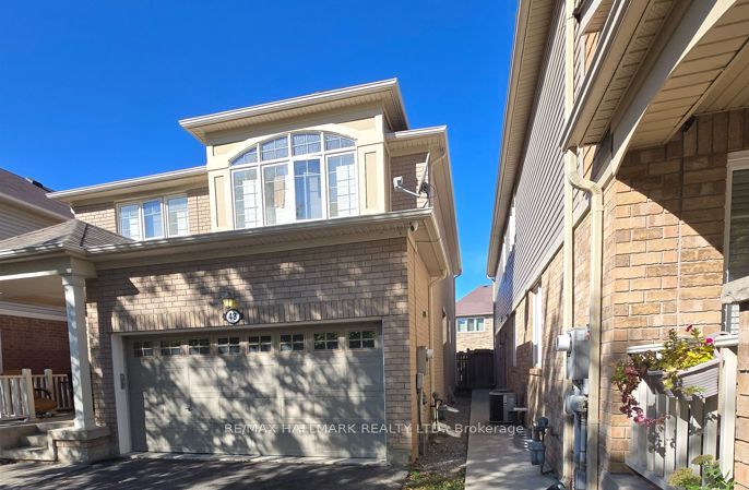 48 Bevington Road Basement, Brampton