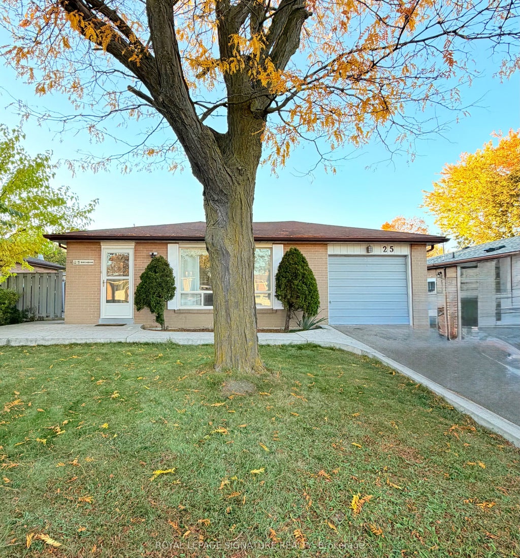 25 Birchbank Road, Brampton