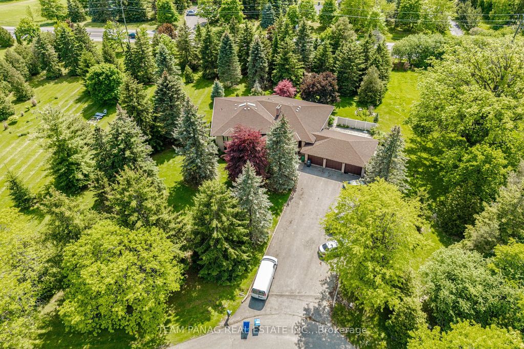 6 Forestbrook Court, Brampton