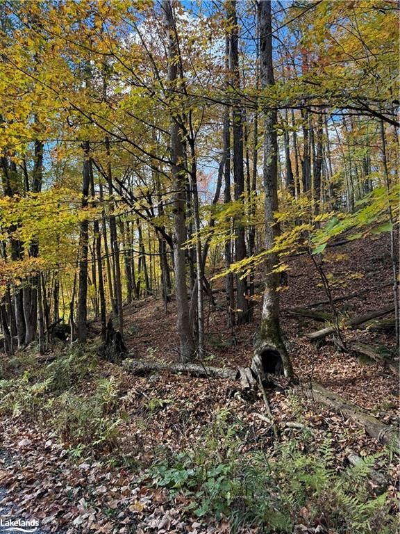 353c Balsam Creek Road, Parry Sound Remote Area