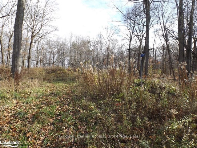 1019 Carl's Road 3, Muskoka Lakes