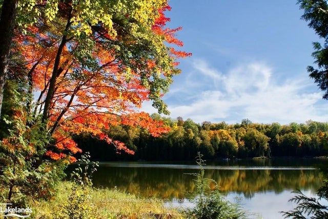 Highway 35 N/a, Minden Hills