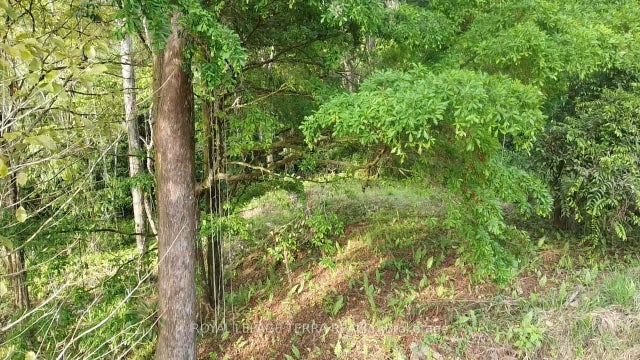 Lot8-65 Cinco Ventanas Road E, Costa Rica