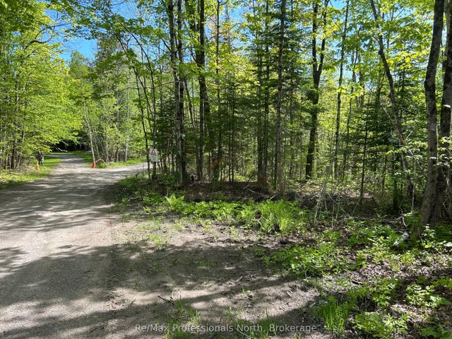 Sharon Lake Drive, Minden Hills