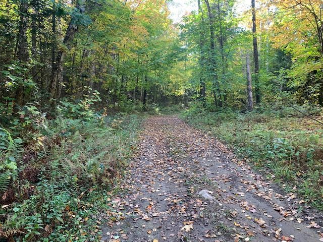 Sugar Bush Road E, Magnetawan