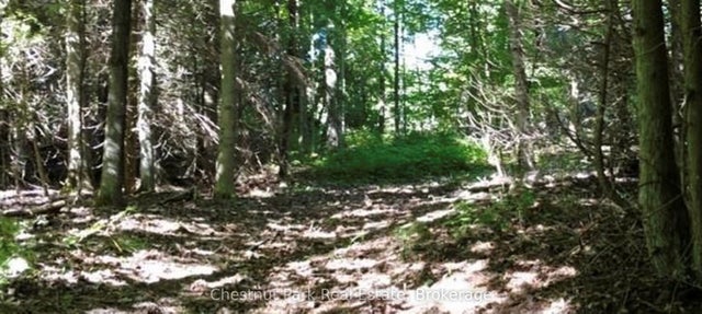 Lt 11 Concession 4 Ebr N/a, Northern Bruce Peninsula