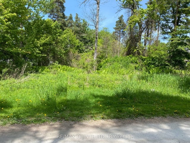 149 Evergreen Lane, Brighton