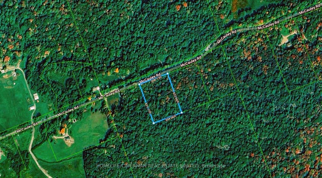 66 Mccauley Road, Seguin