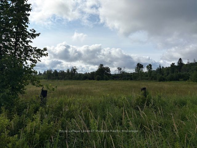 Old Muskoka To The West Side Of #1105 Road, Huntsville