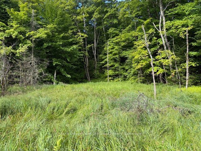 1788 Old Muskoka Road, Huntsville