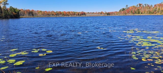146 Thanet Lake Road, Wollaston